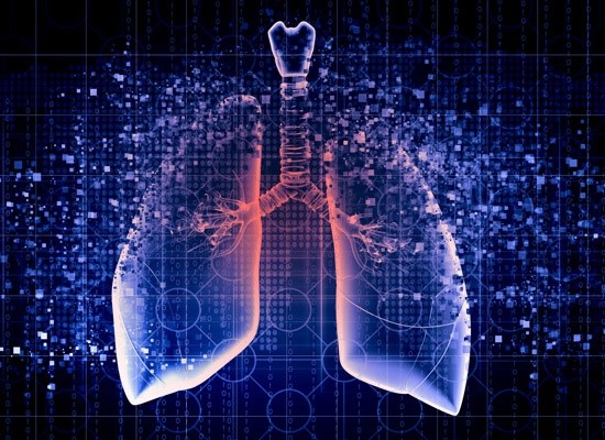 Не только рак легкого: московские радиологи расширяют кругозор нейросети