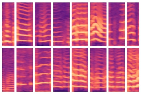 Искусственный интеллект научили выбирать признаки без участия человека