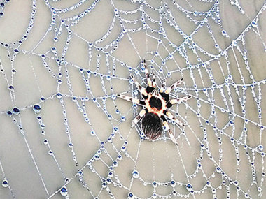 Путеводитель по выставке «Реклама 2019»