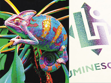 «Оберег» для бренда