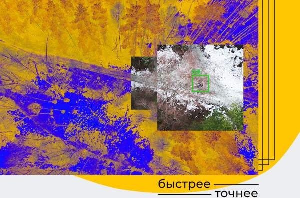 «Билайн» и «Лиза Алерт» разработали приложение для поиска пожилых людей