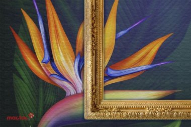 Avery Dennison и Mactac «оживят» цвета на FESPA 2020