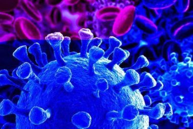 Антивирусный и антикризисный проект PornHub