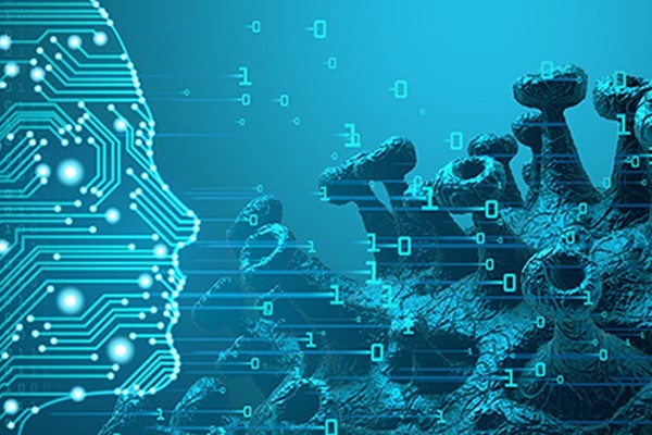 IDC: пандемия меняет приоритеты инвестиций госсектора в искусственный интеллект