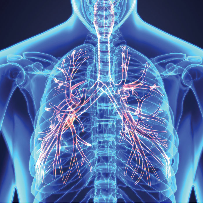 ИИ обучили искать признаки вирусной пневмонии на рентгеновских снимках