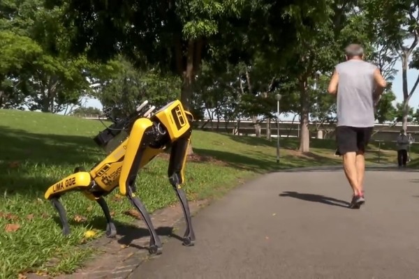 В Сингапуре роботы напоминают жителям о необходимости соблюдать дистанцию