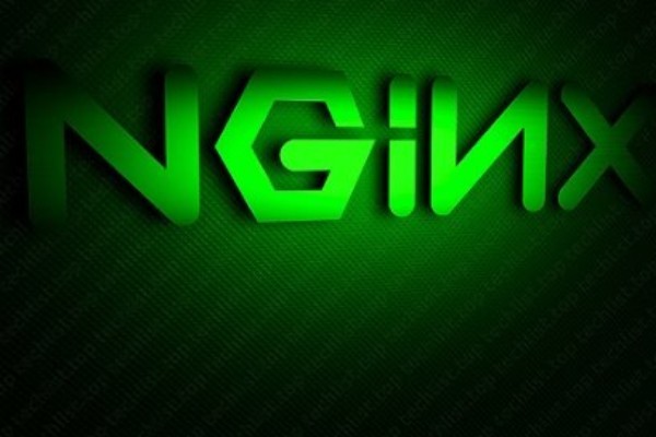 Компания Мамута обжаловала регистрацию в США нового товарного знака Nginx