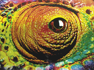 Спецэффекты без Голливуда (часть 2)