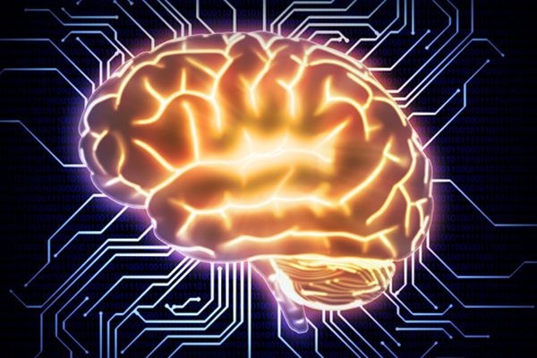 Новый алгоритм машинного обучения экономит энергию подобно мозгу человека