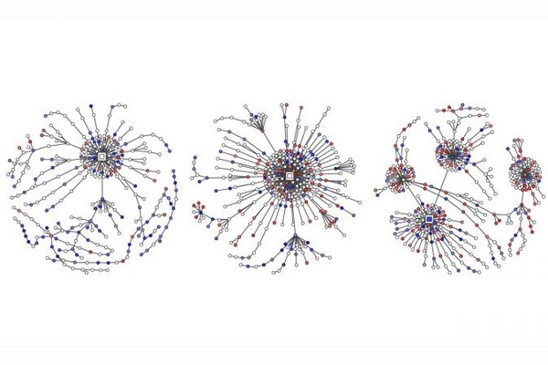 Ученым удалось собрать крупнейшую базу данных для изучения разжигания ненависти в соцсетях