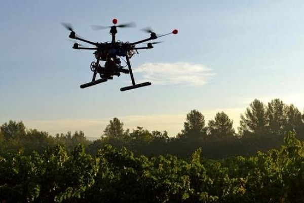 Беспилотники, патрулирующие леса, будут следить за изменениями окружающей среды и экологии