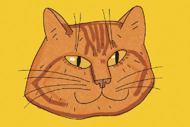 Особенности ценообразования в широком формате