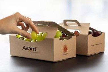 Stora Enso завершает подготовку к выпуску в Оулу упаковочного картона