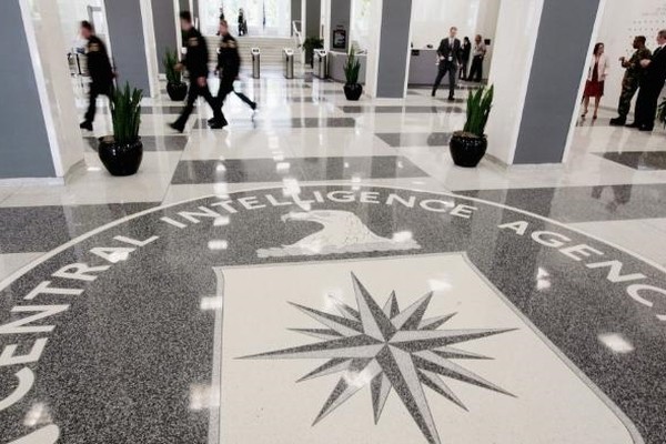 Palantir: резкий рост связанных с большими данными контрактов обеспечил госсектор