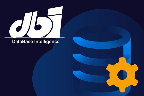 DataBase Intelligence разместила критичные ресурсы на облачной платформе 1cloud.ru