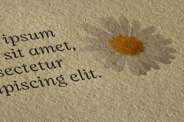 Fedrigoni расширила ассортимент бумаги для ЦПМ HP Indigo