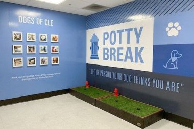 Mactac разработала самоклеящиеся плёнки с антимикробной защитой