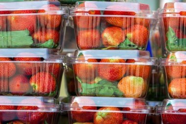 К 2028 г. рынок пластиковой упаковки достигнет 486,2 млрд при ежегодном приросте 4,2%