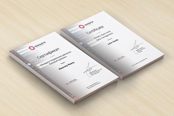 «Юнидата» провела партнерское обучение команды IBS