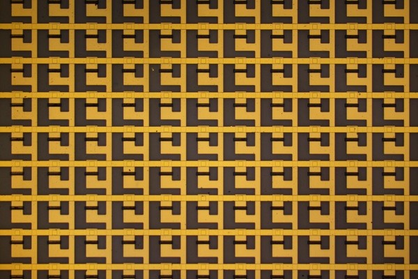 Схема на искусственных синапсах выработала «условный рефлекс»