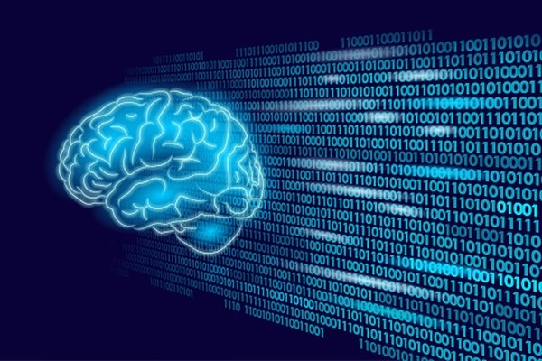 Исследование: форма лица не связана с характером, но связана с формой мозга