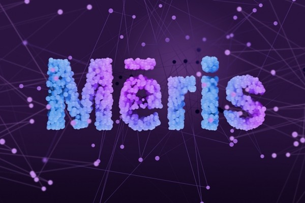 Назван источник крупнейшей DDoS-атаки на «Яндекс»