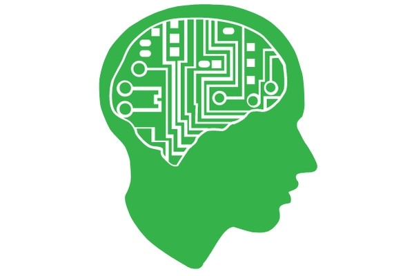 Mail.ru Group стала владельцем контрольного пакета SkillFactory