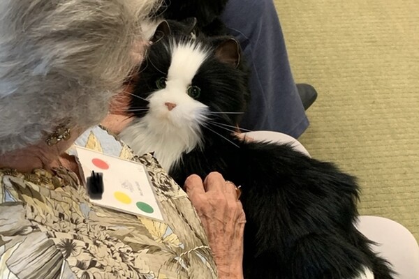 Кошачье мяуканье: робот-питомец повышает настроение и улучшает когнитивные способности у пожилых с деменцией