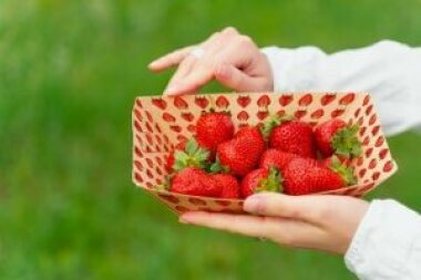 hubergroup запускает серию офсетных красок для прямого контакта с пищей