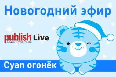 Итог года: успех ждёт профессионалов