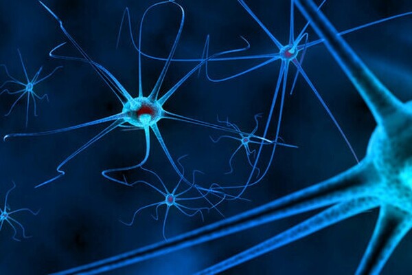 Искусственный интеллект становится ближе к естественному