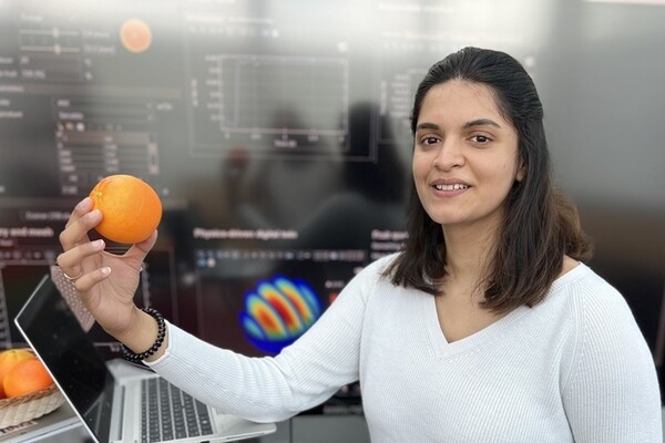 Цифровой лимон: моделирование поможет сократить порчу цитрусовых