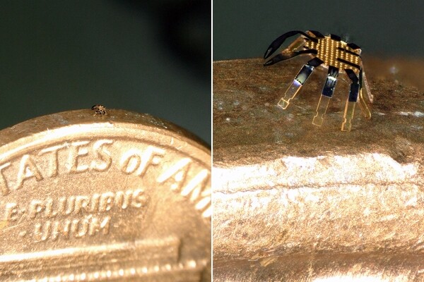 Сконструирован дистанционно управляемый шагающий робот размером меньше миллиметра