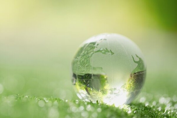 Наноцеллюлозные полупроводники позволят создавать электронику из деревьев