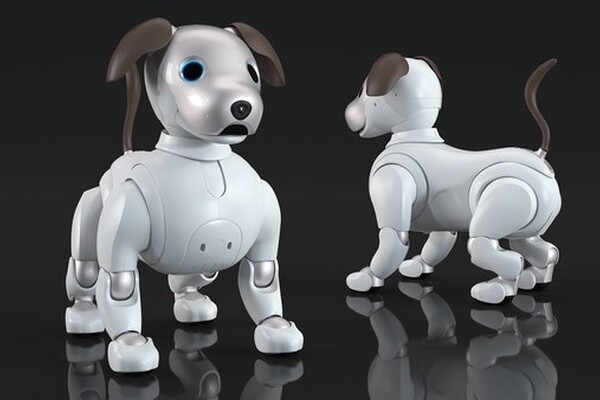 Sony может делать человекоподобных роботов — но пока не знает, зачем