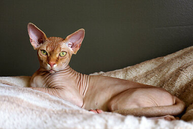 Маркетинг в нашем деле