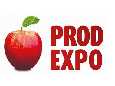 Как упаковать свой продукт и привлечь покупателя, невзирая на  ограничения рынка?