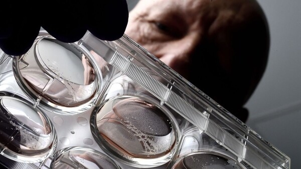 Компьютер на клетках головного мозга может быть создан уже в недалеком будущем