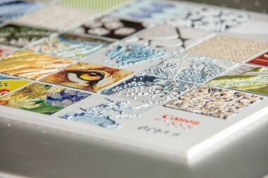 Canon представила новое программное обеспечение для тактильной печати