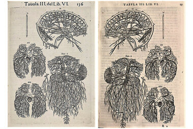 Растиражированный позор: глупые и дорогие ошибки типографов