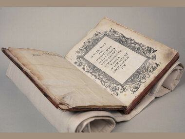 Расследование Пушкинского музея: проект «Московский Витрувий»