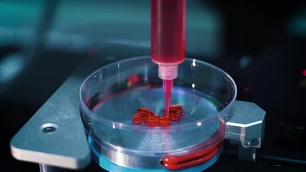 Новый материал для 3D-печати позволяет моделировать работу сердечной мышцы