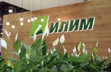 Американская International Paper продала акции крупнейшего в России производителя целлюлозы и бумаги 