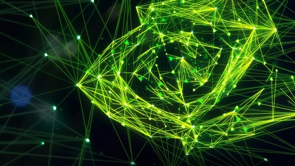 Во французском офисе Nvidia прошел обыск