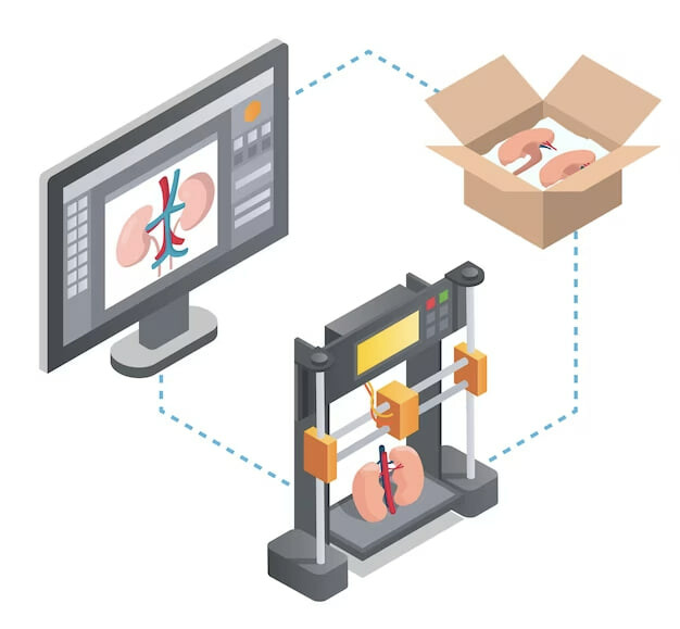 3D-печать биологических тканей: от регенеративной медицины до тестирования лекарств