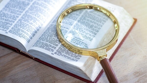 Глагол «галлюцинировать» объявлен словом 2023 года