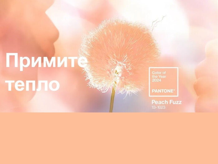 Peach fuzz персиковый. Peach fuzz персиковый. Fuzzy flower. Fuzzy peach v spa llc. Peach fuzz персиковый.