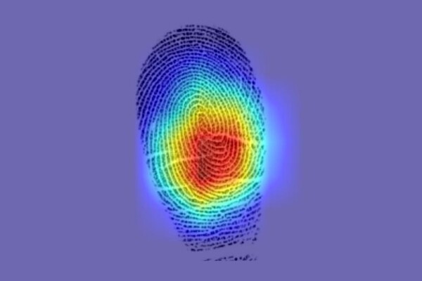 Нейросеть обнаружила, что не все отпечатки пальцев уникальны