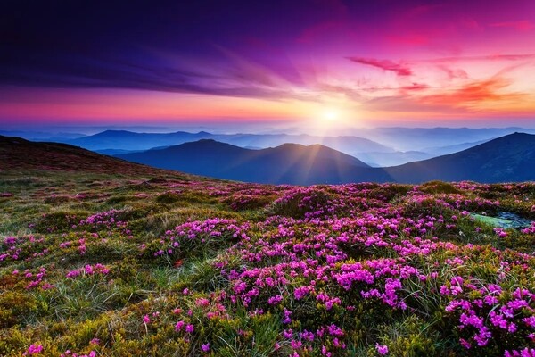 Google выпустила свою библиотеку для работы с изображениями в формате JPEG