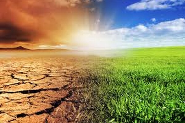 Влияние ИИ и социальных сетей на борьбу с изменением климата, возможно, недооценивается